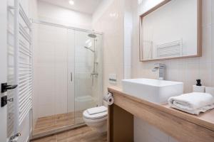 布达佩斯N36- Boutique Apartments, Best Location, By BQA的一间带水槽、卫生间和镜子的浴室