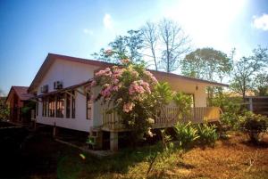 瓜埠Langkawi Rouhi Retreats By VP的一座灌木丛中的粉红色花朵