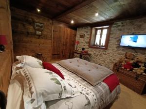 瓦什雷斯La montagnarde des Sapins Blancs的一间卧室配有一张床和一台平面电视