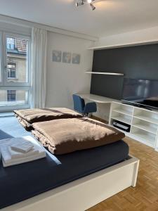 苏黎世Guesthouse Elisa 6的一间卧室配有一张床、一张书桌和一台电视。