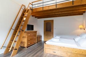 什平德莱鲁夫姆林Pension Slunečnice & Restaurace Farma的一间卧室配有一张双层床和梯子