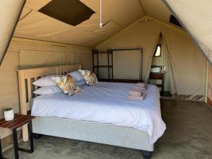 Oryx Wilderness Game Lodge and Tented Camp的帐篷内一间卧室,配有一张床