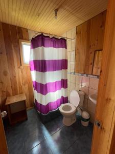 里坎雷Cabañas El Boldo的浴室设有卫生间和紫色和白色的淋浴帘。