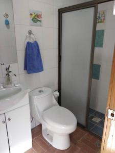 塔尔卡Hermoso Loft, con estacionamiento gratuito的浴室配有卫生间、盥洗盆和淋浴。