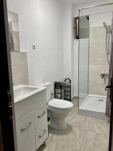 德罗贝塔-塞维林堡Apartament Luca的浴室配有卫生间、盥洗盆和淋浴。