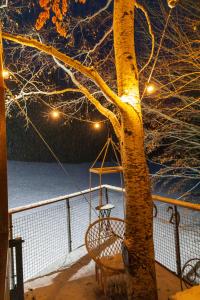 奥特朗Cabane perchée La Résilience sur le plateau du Vercors的雪中挂在树上的秋千