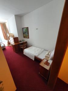 扎莫希奇Hotel Polak的一间酒店客房,一间设有一张床和一张书桌