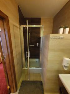 扎莫希奇Hotel Polak的带淋浴的浴室和玻璃门