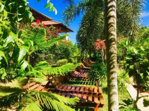 坦加拉鹰巢小屋酒店的种有长椅和植物的花园