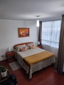 维纳德马Departamento en centro de Viña del Mar的一间卧室设有一张床和一个窗口