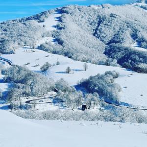 别拉什尼察Weekend house NEST Bjelašnica的享有积雪覆盖的山丘的空中美景,