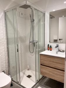 肖蒙昂韦克桑Vexin Studio的带淋浴、卫生间和盥洗盆的浴室