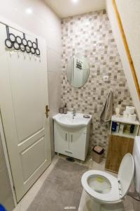 ŠišavaChalet Tupara attic的一间带卫生间、水槽和镜子的浴室