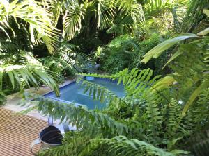 Dorp SotoApartment Panekoek的热带花园中的一个游泳池