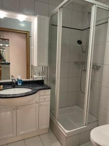 洛伊克巴德洛伊克巴德别墅酒店的带淋浴、盥洗盆和卫生间的浴室