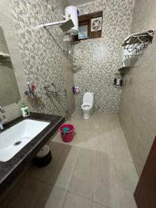 瓦拉纳西Kaashi Flora - Luxury 3BHK的一间带水槽和卫生间的浴室
