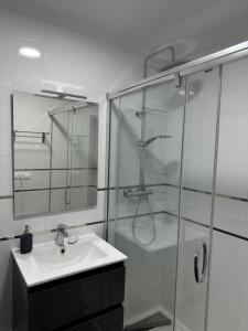 格兰阿利坎特Bungalow Santa Pola del Este的一间带水槽和玻璃淋浴的浴室