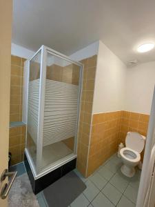 沙勒罗瓦Sofieflat - Wallifolie的带淋浴和卫生间的浴室。