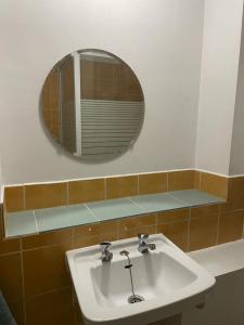 沙勒罗瓦Sofieflat - Wallifolie的一间带水槽和镜子的浴室