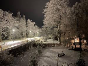 LosheimergrabenHotel Schröder的雪覆盖的公园,有树木,晚上有街道