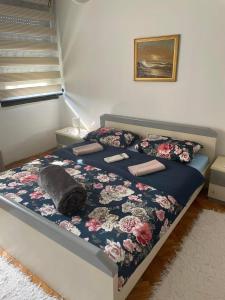 弗拉涅Michel FREE PARKING的卧室配有一张床,上面放着一只猫