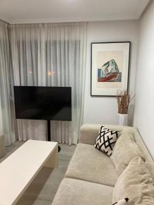 马德里包萨19号公寓的带沙发和平面电视的客厅
