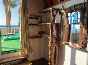 达哈布Dream house的一间设有木制架子和窗户的房间