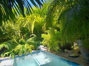 Dorp SotoApartment Panekoek的棕榈树花园内的游泳池