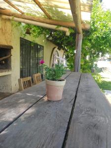 卢汉德库约COMPLEJO DRUMMOND en el Camino del Vino的木桌,上面有盆栽植物
