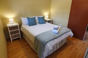 塞昆达Jakaranda Cabin - Self Catering Apartment的一间卧室配有一张带蓝色枕头的大床