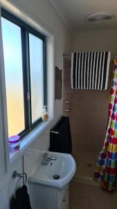 MeningieCoorong Lakeside Cottage的一间带水槽、窗户和淋浴的浴室