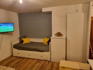 莫里永Studio du lac bleu的一间卧室配有一张带黄色枕头的床和一台电视。