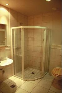 布雷达尔雅克埃伊伽洛奇垂钓小屋酒店的浴室里设有玻璃门淋浴