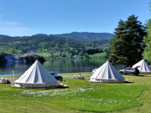 诺托登Lystang Glamping & Cabins的湖畔草上三个帐篷