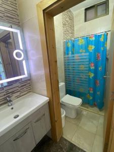 安曼Aqua Blue Villa-Dead Sea, Jordan的浴室配有卫生间、盥洗盆和淋浴。