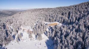 戈韦达尔齐Hotel Alpinist, Malyovitsa的雪覆盖森林中滑雪小屋的空中景观