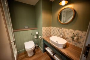 哈洛Green Man by Chef & Brewer Collection的一间带卫生间、水槽和镜子的浴室