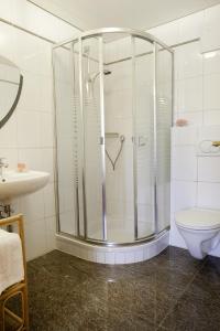 萨尔茨堡布劳伯格霍夫酒店的带淋浴、卫生间和盥洗盆的浴室