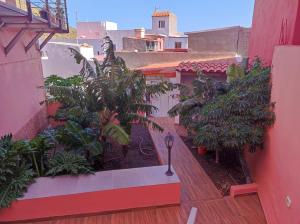 戈梅拉岛圣塞瓦斯蒂安Casita La Gomera的建筑里种植了植物的户外阳台