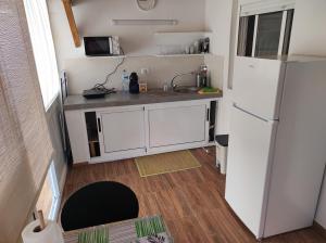 戈梅拉岛圣塞瓦斯蒂安Casita La Gomera的一间带冰箱和水槽的小厨房