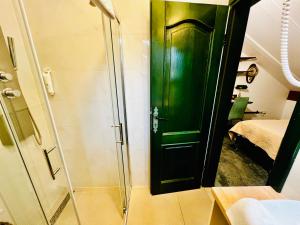 斯普利特戴安娜别墅酒店 的浴室内设有绿色门淋浴