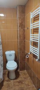 巴库里阿尼Nias's Apartment in Bakuriani的一间带卫生间和淋浴的小浴室