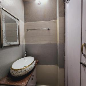 新德里HOTEL ROYAL AFGHAN的一间带卫生间和水槽的浴室