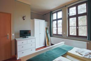 LetzlingenHotel Jagdschloss Letzlingen的一间卧室设有一张床、一台电视和窗户。