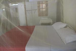 阿贡达Mayelle Agonda的一间卧室配有一张玻璃墙床