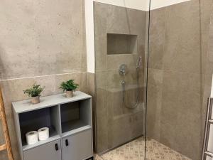 格门德蒂格斯Gmunder Premium Dachgeschoss-Apartments的带淋浴的浴室和玻璃门