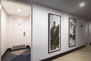 霍巴特霍巴特旅客之家酒店的墙上有三幅画框的走廊