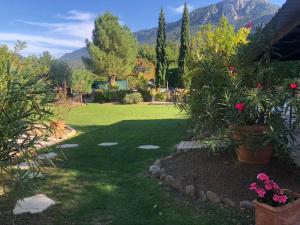 波尔维恩卡维亚克峡谷花园酒店的种植了植物和花卉的草坪庭院