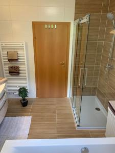 蓬高地区圣法伊特Appartement Centerbase Salzburgerland的带淋浴、盥洗盆和浴缸的浴室