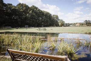 ZoerselFerme NeElke Pipowagens的池塘旁的公园长凳,配有野餐桌